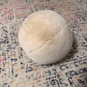 Anthropologie Sophie Faux Fur Pillow, 12-inch round